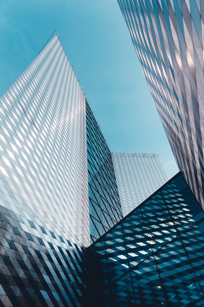 pexels photo 1106476.jpeg